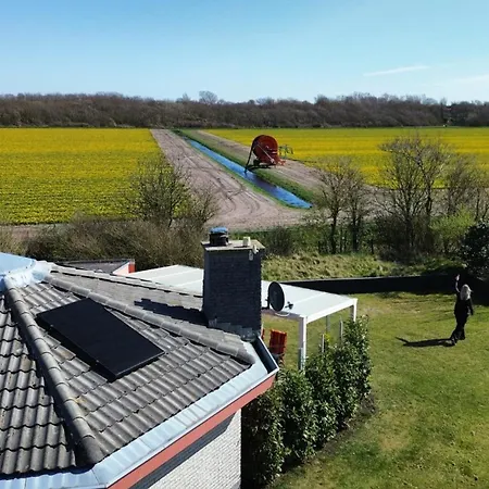 Zeester 086 * יוליאנאדורפ