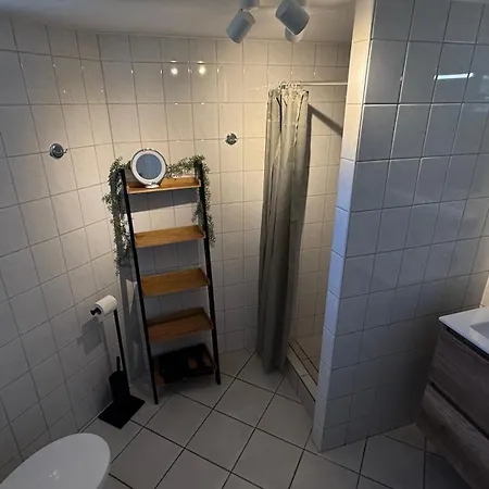 Zeester 086